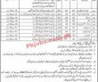 Cod Jobs 2022 | Pakistan Army Central Ordnance Depot Head