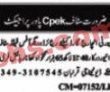 Cpek Oil Company Jobs 2023