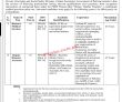 Cabinet Division Pk Jobs 2021 | Poverty Alleviation & Social