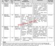 Cabinet Secretariat Jobs 2022 | Poverty Alleviation & Social Safety