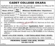 Cadet College Cco Jobs 2022 | Cadet College Cco Headquarters