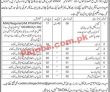 Cadet College Jobs 2022 | Cadet College Headquarters Announced Latest