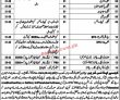 Cadet College Pk Jobs 2021 | Pakistan Army Cadet College