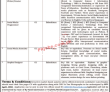 Chief Minister Delivery Unit Media Cell Management PK Jobs 2021