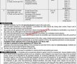 Child Protection & Social Welfare Commission PK Jobs 2021