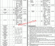 Children Hospital Jobs 2023 | Children Hospital & Institute Of Child