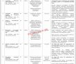 China Pakistan Economic Corridor (cpec) Announced Management Pk Jobs 2021