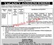 Commerce Jobs 2022 | Ministry Of Commerce Foreign Trade Wing