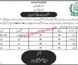 Commissioner Pk Jobs 2021 | Deputy Commissioner Office Announced Management
