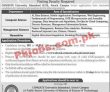 Comsats University latest Jobs 2023