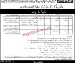 Council of Arts Management PK Jobs 2021