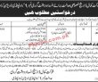Court Jobs 2022 | Anti Terrorism Court Judge Office Announced Latest