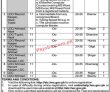 Court Jobs 2022 | District Court & Session Chief Court
