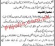 Customs Jobs 2023 | Collectorate Of Customs Enforcement Head Office