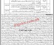 Dc Office Jobs 2022 | Deputy Commissioner Office Headquarters Announced