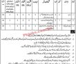 Dgda Jobs 2022 | Dera Ghazi Khan Development Authority Dgda