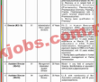 Drap jobs 2023 | Latest Drug Regulatory Authority Jobs 2023 |