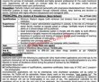 Daaish School Pk Jobs 2021 | Jobs In School |