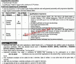 Daanish Schools Pk Jobs 2021 | Daanish Schools & Centers