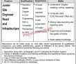 Dasu Hydropower Project Latest Jobs 2023