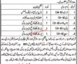 Deputy Commissioner District Office Management PK Jobs 2021