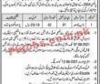 Deputy Commissioner District Office Management Pk Jobs 2021