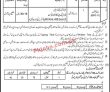 Deputy Commissioner Office Announced Management Pk Jobs 2021