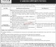 Different Cities Hrsg Govt It Jobs 2022 Advertisement Pk