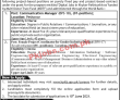 Digital Pakistan Information Technology Board PK Jobs 2021