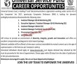 Digital Pakistan Pk Jobs 2021 | Digital Pakistan Universal Service