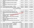 Digital Pakistan Pk Jobs 2021 | Ministry Of It &