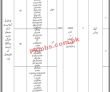 Directorate General Services Office STS jobs 2021
