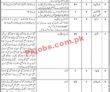 Directorate General Treasuries & Accounts Headquarters Announced Latest Management Jobs