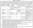 Directorate General of Fisheries Management PK Jobs 2021