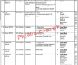 Directorate General of Immigration & Passports (DGIP) PK Jobs 2021