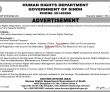 Directorate Of Human Rights jobs 2023