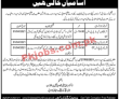 District Headquarter Hospital (DHQ) Management PK Jobs 2021