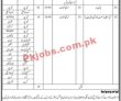 District Population Welfare Office Management Pk Jobs 2021