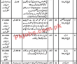 District & Session Court Latest Management PK Jobs 2021