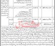 District & Session Court Office Announced Management Pk Jobs 2021