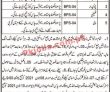 District & Session Court Office Management PK Jobs 2021