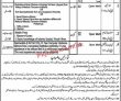 District & Session Judge Office Latest Advertisement PK Jobs 2021