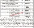 District & Session Judge Office PK Jobs 2021