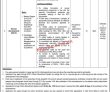 Ecp Pk Jobs 2021 | Election Commission Of Pakistan Announced
