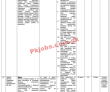 Ecp Pk Jobs 2021 | Election Commission Of Pakistan Announced