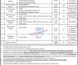 Ecp Pk Jobs 2021 | Election Commission Of Pakistan Ecp