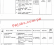 Ecp Pk Jobs 2021 | Provincial Election Commission Of Pakistan