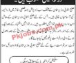 Esed Jobs 2022 | Elementary And Secondary Education Department Esed