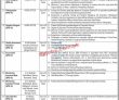 Esed Jobs 2023 | Elementary And Secondary Education Department Head