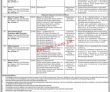Etea Jobs 2022 | Provincial Public Sector Organization Etea Head
